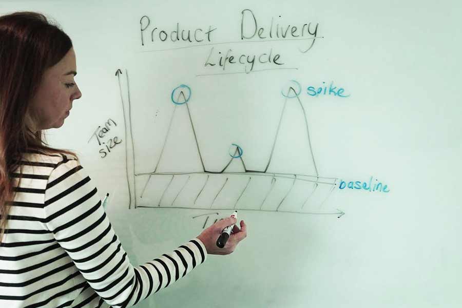 Delivery Advisory and Leadership